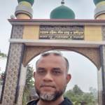 Borhanuddin Uddin Profile Picture