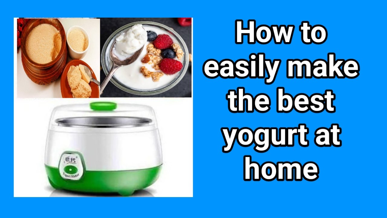 How to easily make the best yogurt at home - Ak Freelancing Park